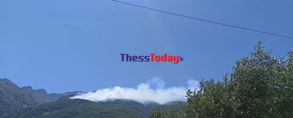Φωτιά σε δύσβατη περιοχή στη Σαμοθράκη / thesstoday.gr