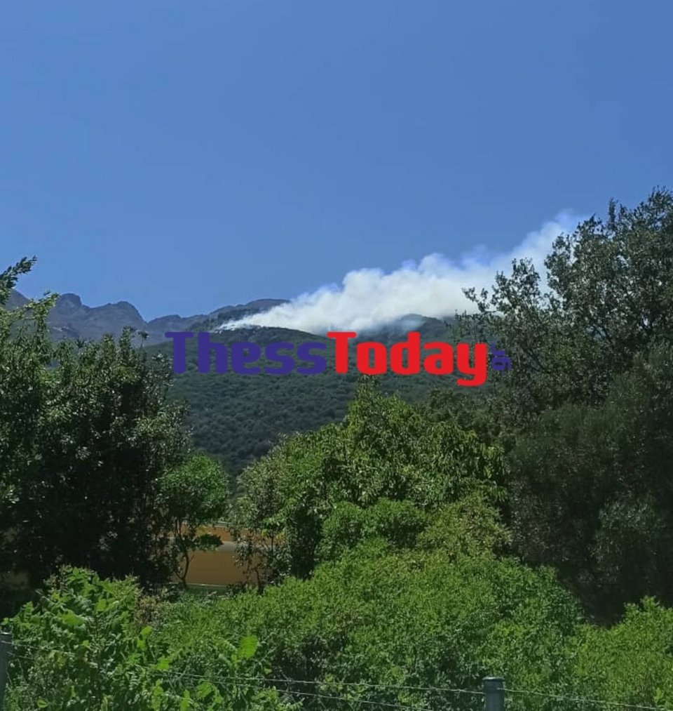 Φωτιά ξέσπασε σε δύσβατη περιοχή στη Σαμοθράκη / thesstoday.gr
