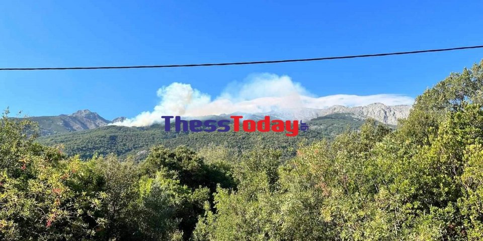 Φωτιά ξέσπασε σε δύσβατη περιοχή στη Σαμοθράκη / thesstoday.gr