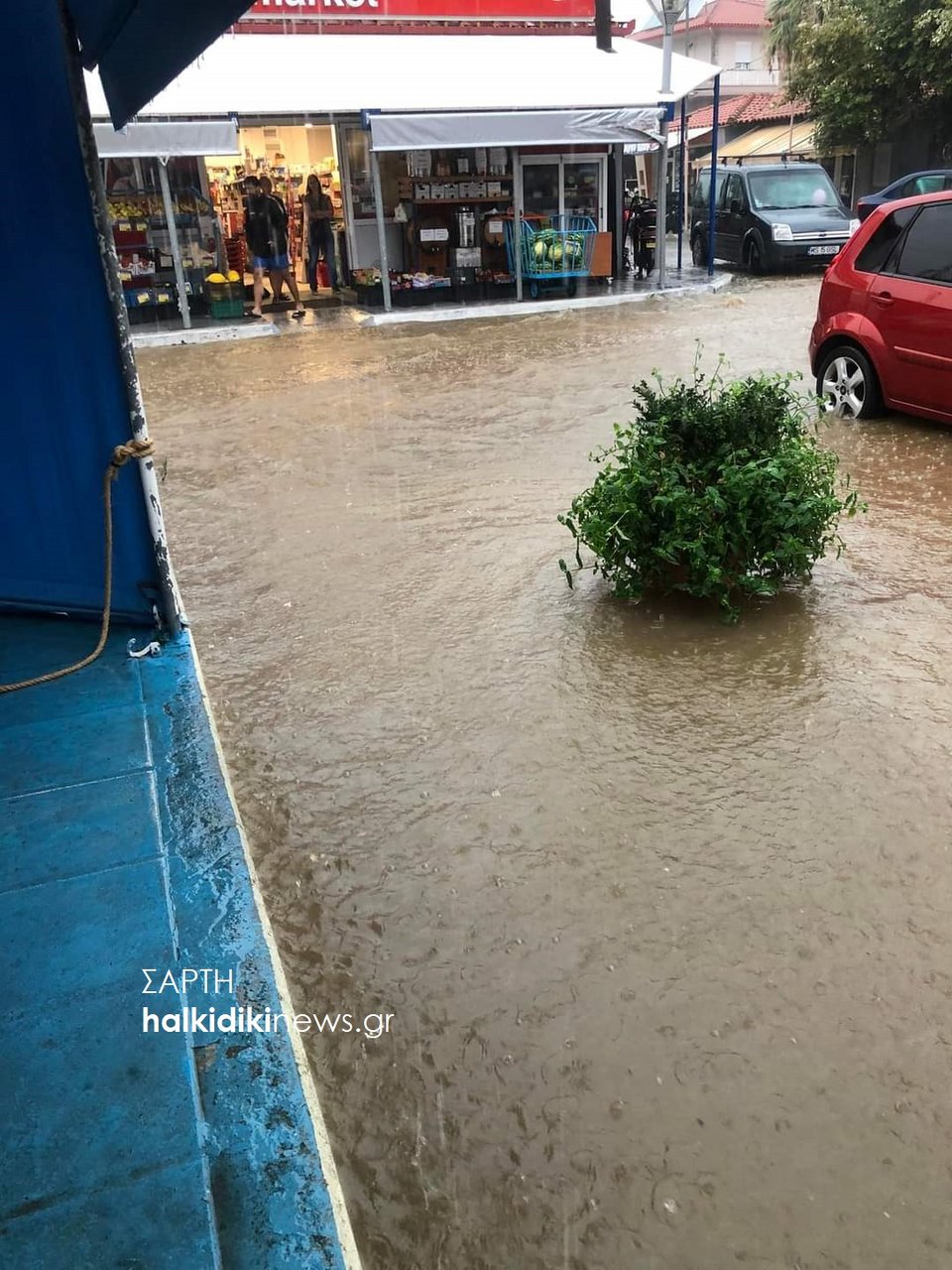 Εικόνα από halkidikinews.gr