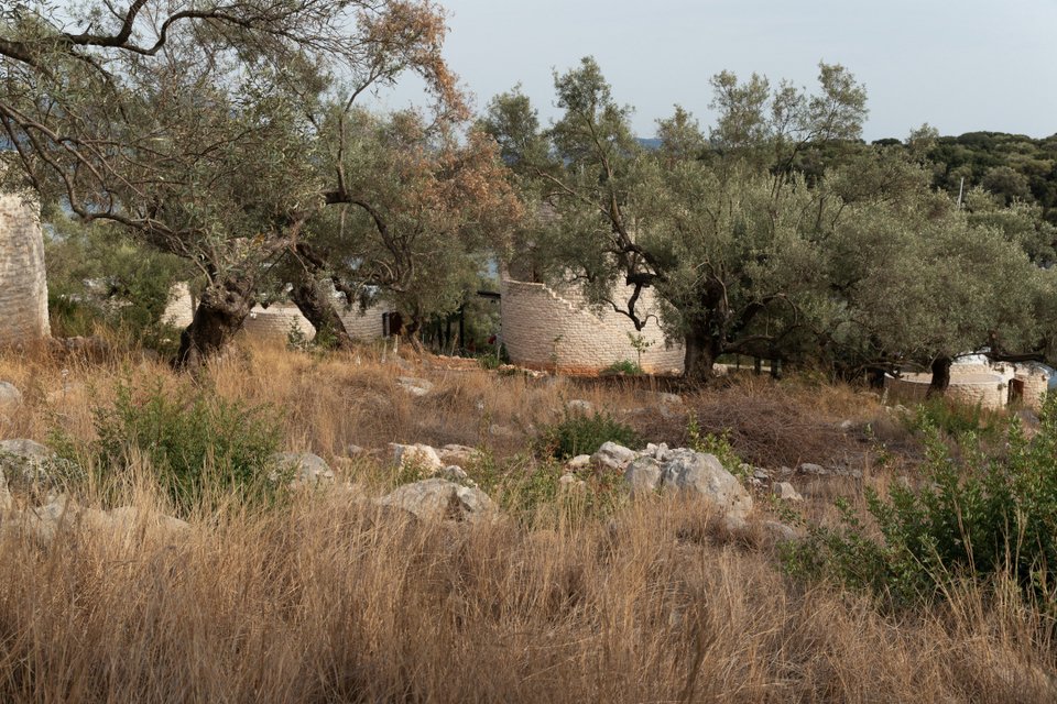 Φωτογραφία: Γιάννης Δρακουλίδης