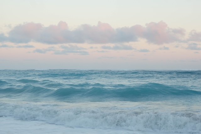 To μαγευτικό φως του ωκεανού - Φωτογραφία: Courtesy of Alanna O’Neil