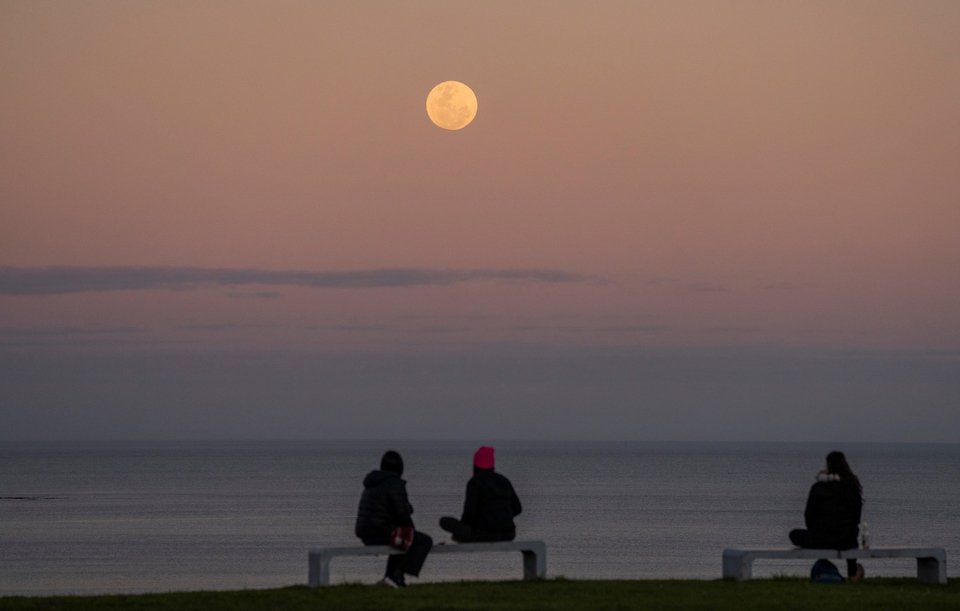 AP Photo/Matilde Campodonico