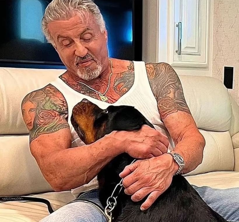  ο Σιλβέστερ Σταλόνε με τατουάζ την εικόνα της γυναίκας αγκαλιάζει τον σκύλο του