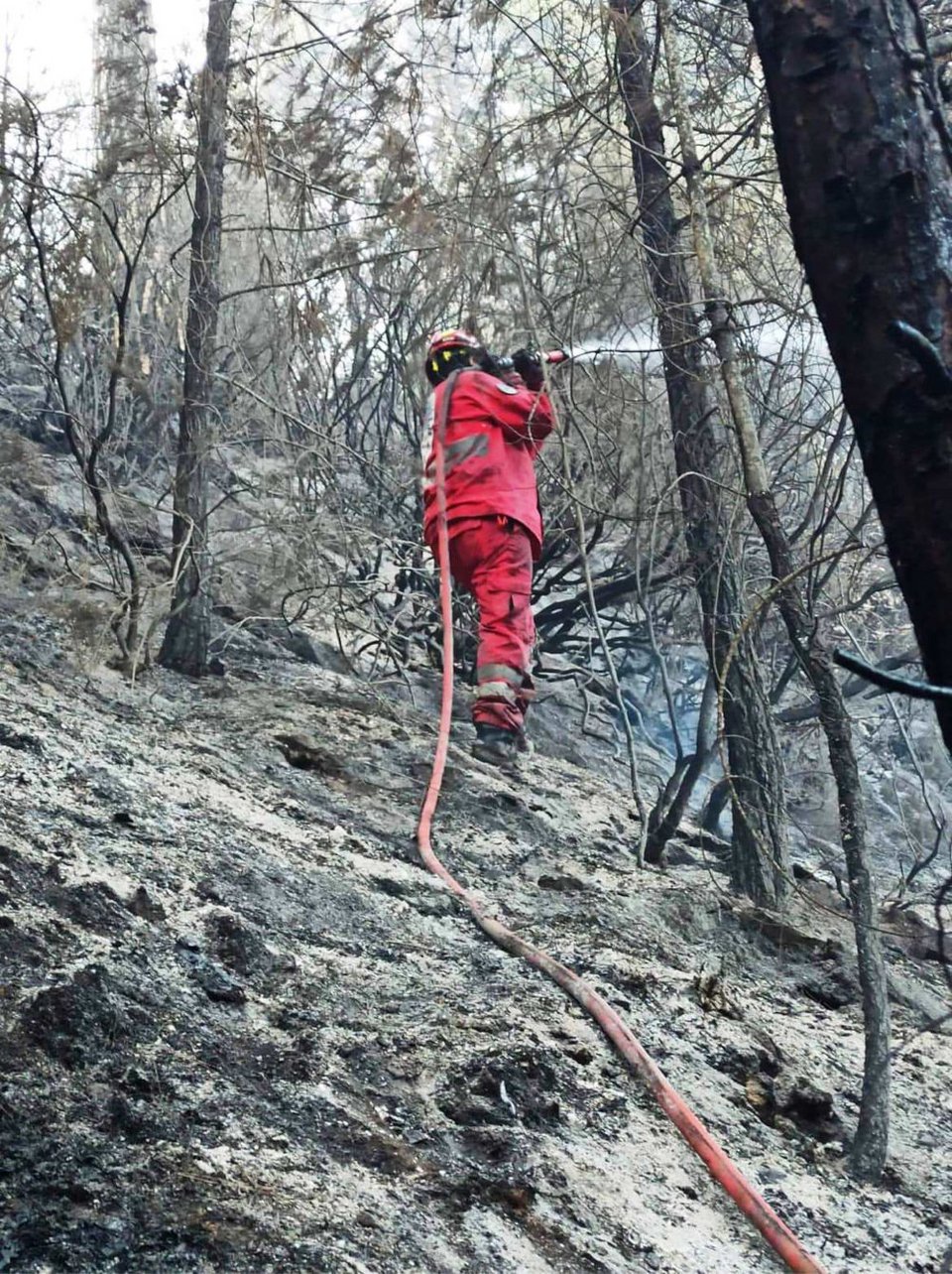 Υπό έλεγχο η φωτιά στο νησί της Θάσου / Παράρτημα Καβάλας της Ελληνικής Ομάδας Διάσωσης