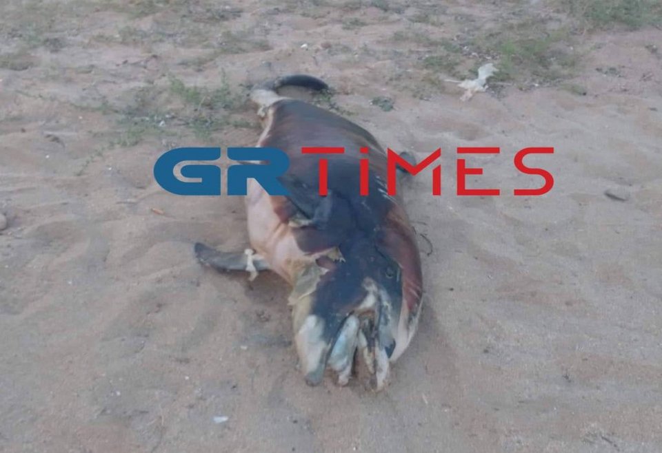 Φωτογραφία: GRTimes.gr
