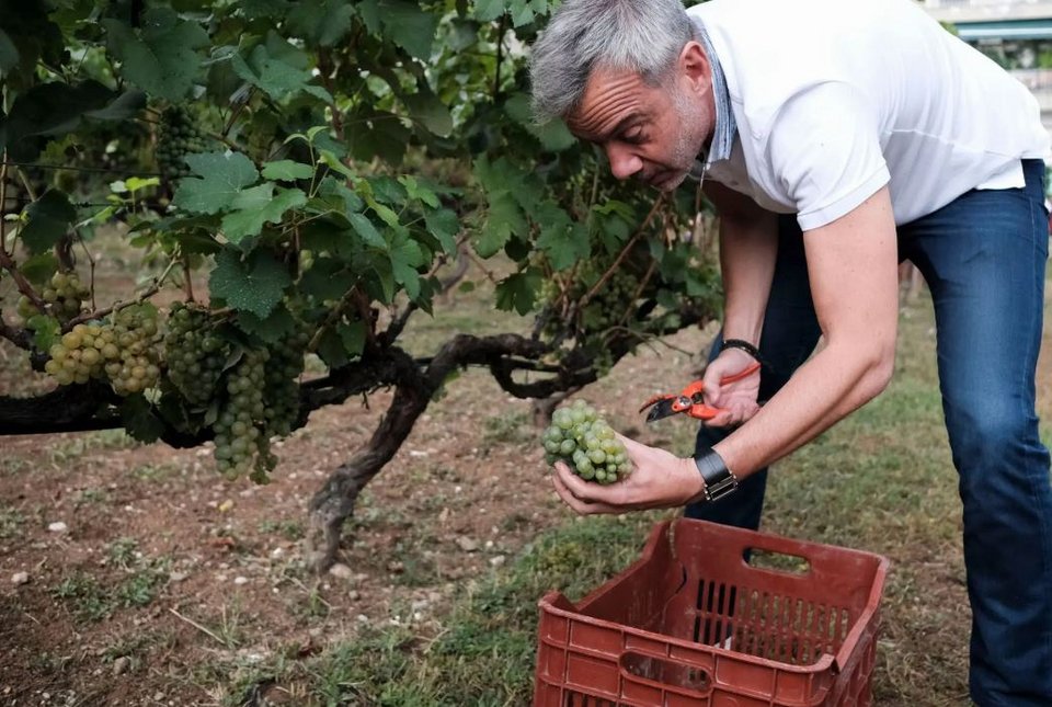 Κωνσταντίνος Ζέρβας