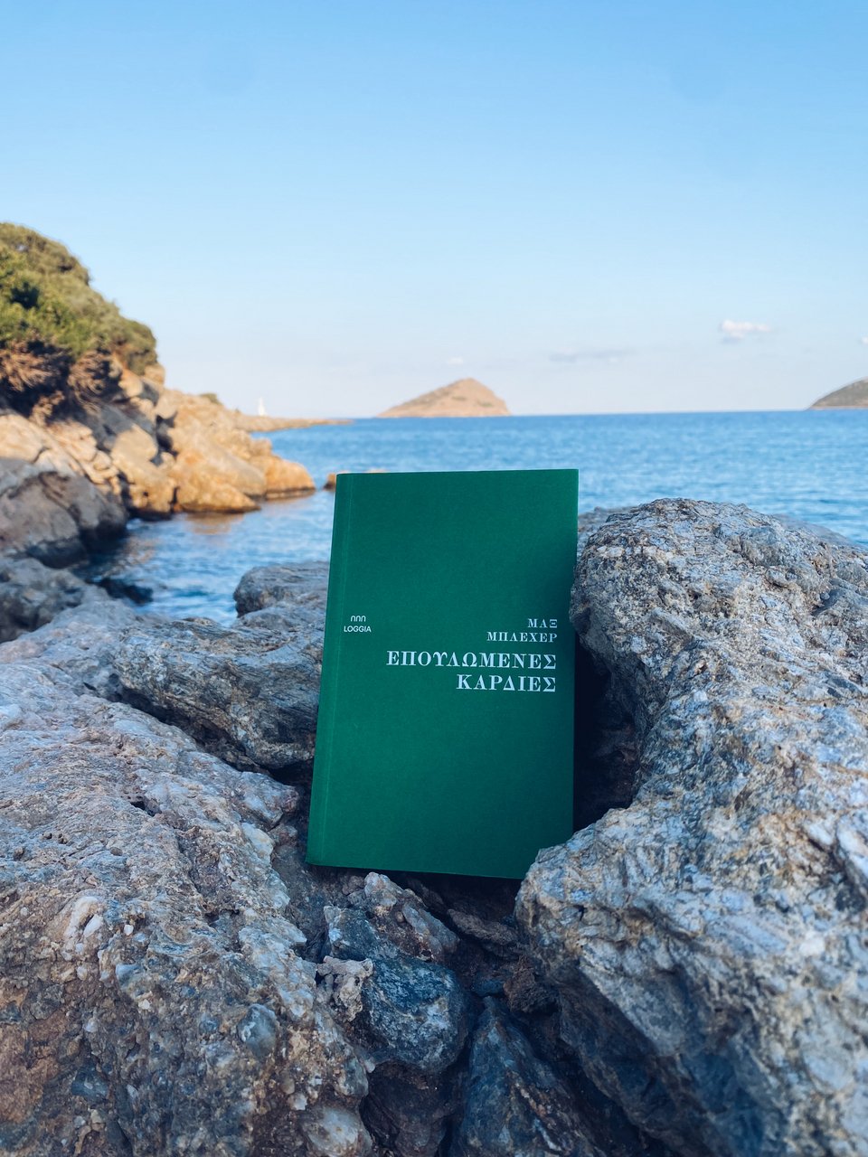 Επουλωμένες καρδιές, Μαξ Μπλέχερ, εκδ. Loggia