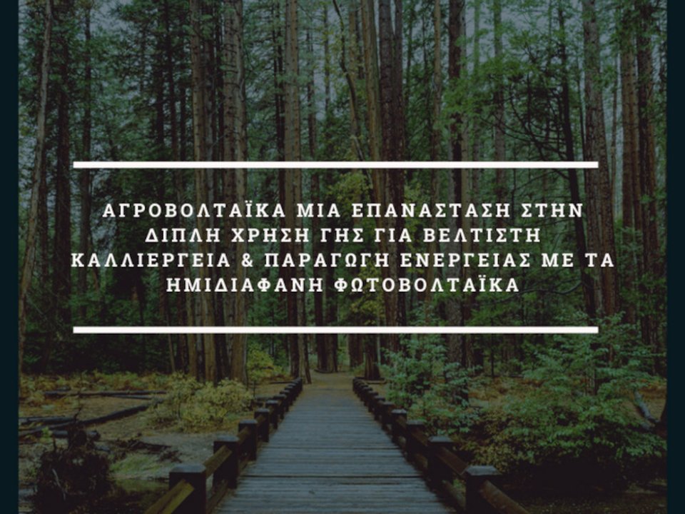 Φωτογραφία: ΑΠΕ-ΜΠΕ