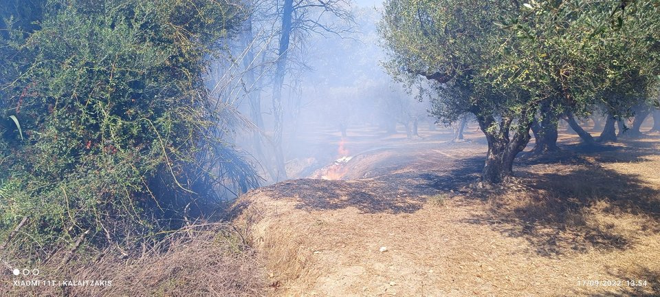 Φωτιά στα Δελιανά Χανίων / Φωτογραφία: zarpanews
