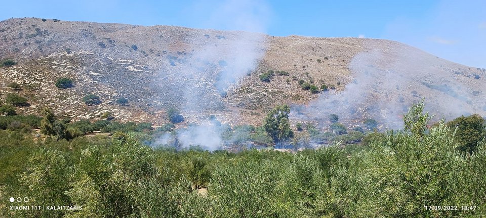 Φωτιά στα Δελιανά Χανίων / Φωτογραφία: zarpanews