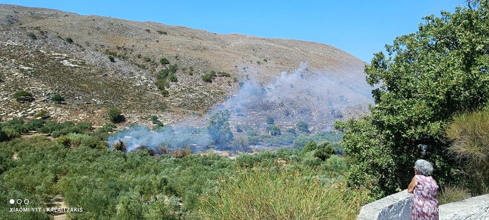 Φωτιά στα Δελιανά Χανίων / Φωτογραφία: zarpanews