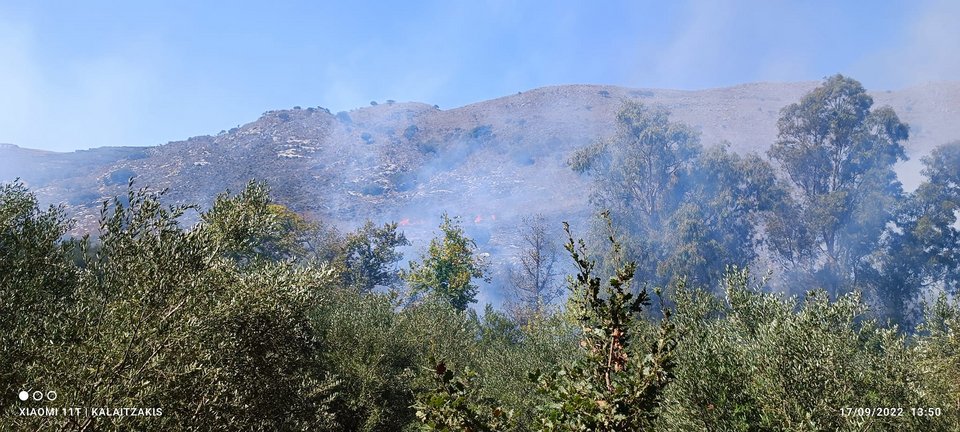 Φωτιά στα Δελιανά Χανίων / Φωτογραφία: zarpanews