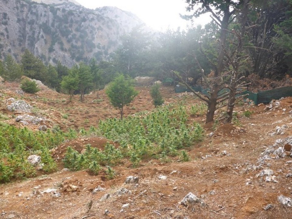 Φωτογραφία: ΕΛ.ΑΣ.