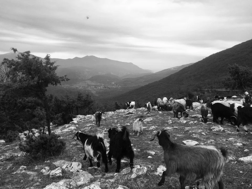 31χρονη θύμα γυναικοκτονίας στην Καβάλα