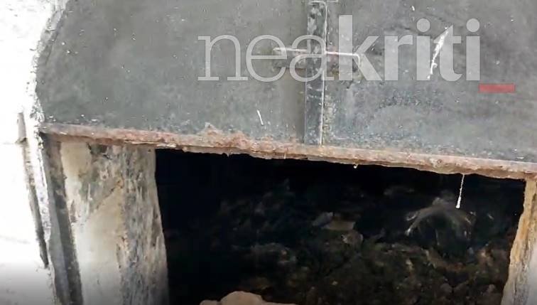 Πηγή: neakriti.gr