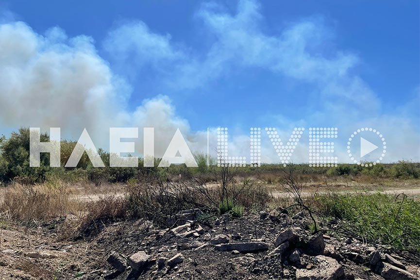 Φωτογραφία: ilialive.gr