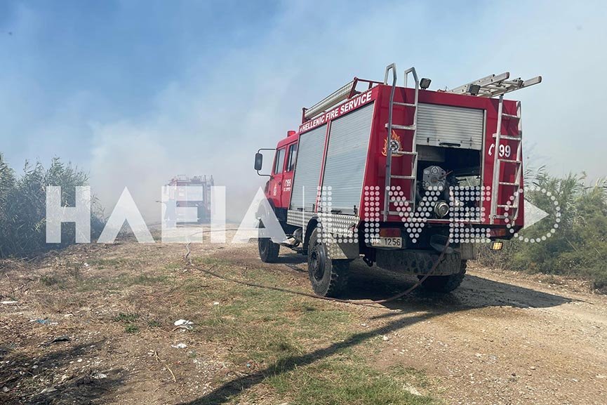 Φωτογραφία: ilialive.gr