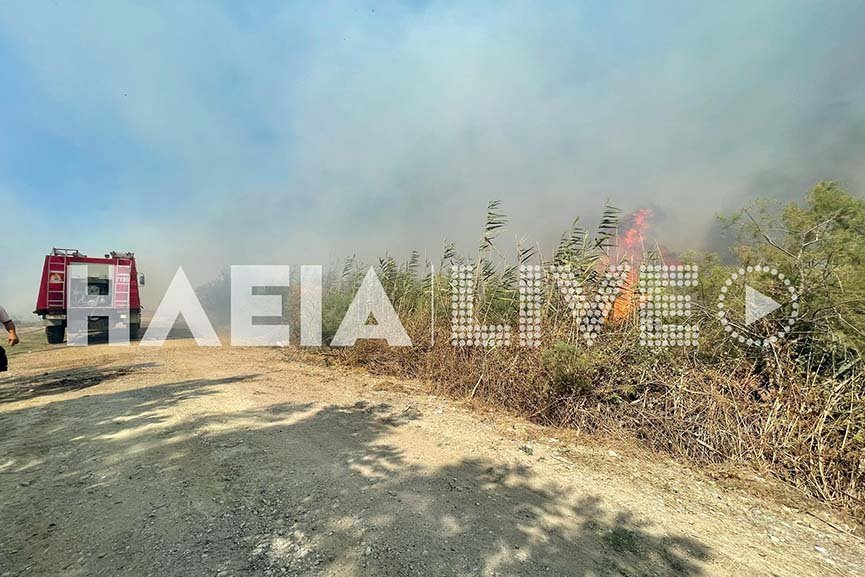 Φωτογραφία: ilialive.gr