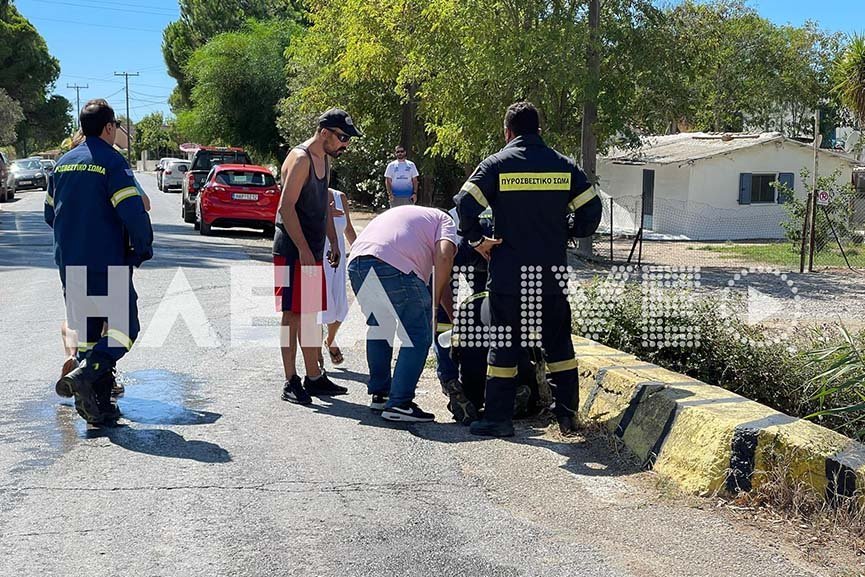 Φωτογραφία: ilialive.gr