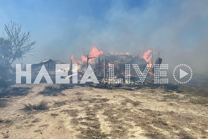 Φωτογραφία: ilialive.gr