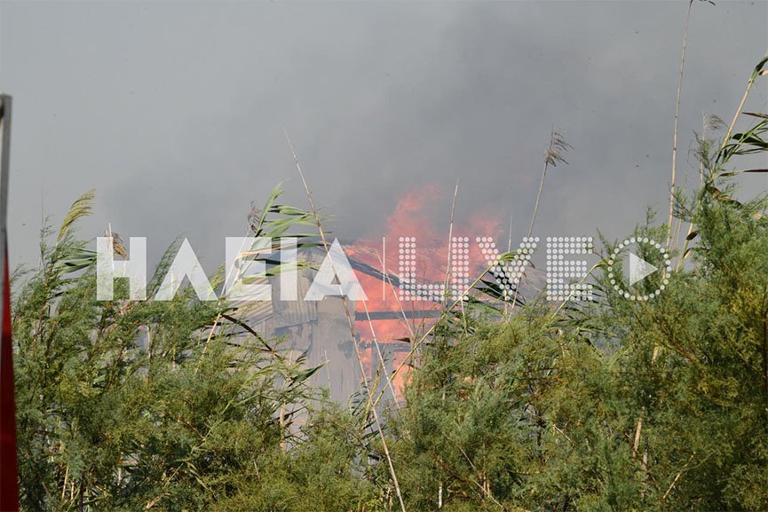 Φωτογραφία: ilialive.gr