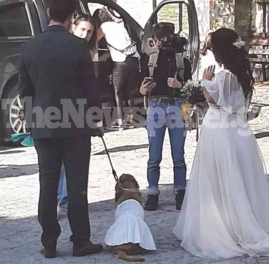 Με λευκό φόρεμα ο σκύλος που έγινε παρανυφάκι στο Πήλιο