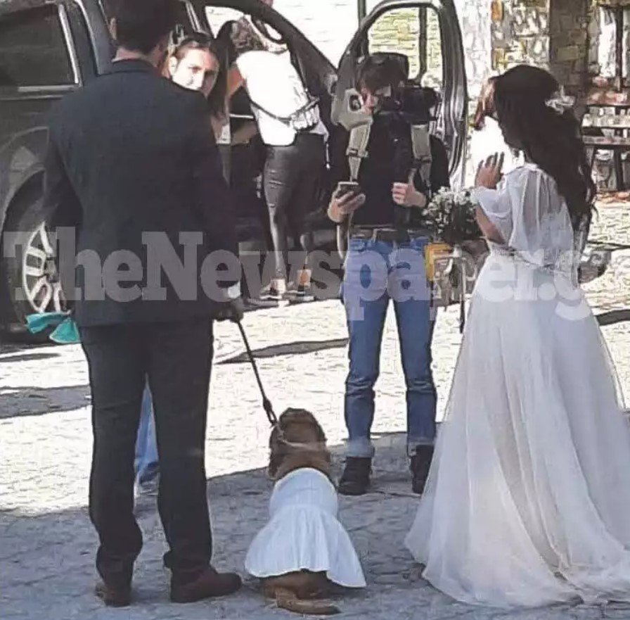 Με λευκό φόρεμα ο σκύλος που έγινε παρανυφάκι στο Πήλιο