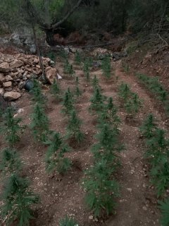 Φωτογραφία από ΕΛ.ΑΣ.