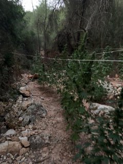 Φωτογραφία από ΕΛ.ΑΣ.