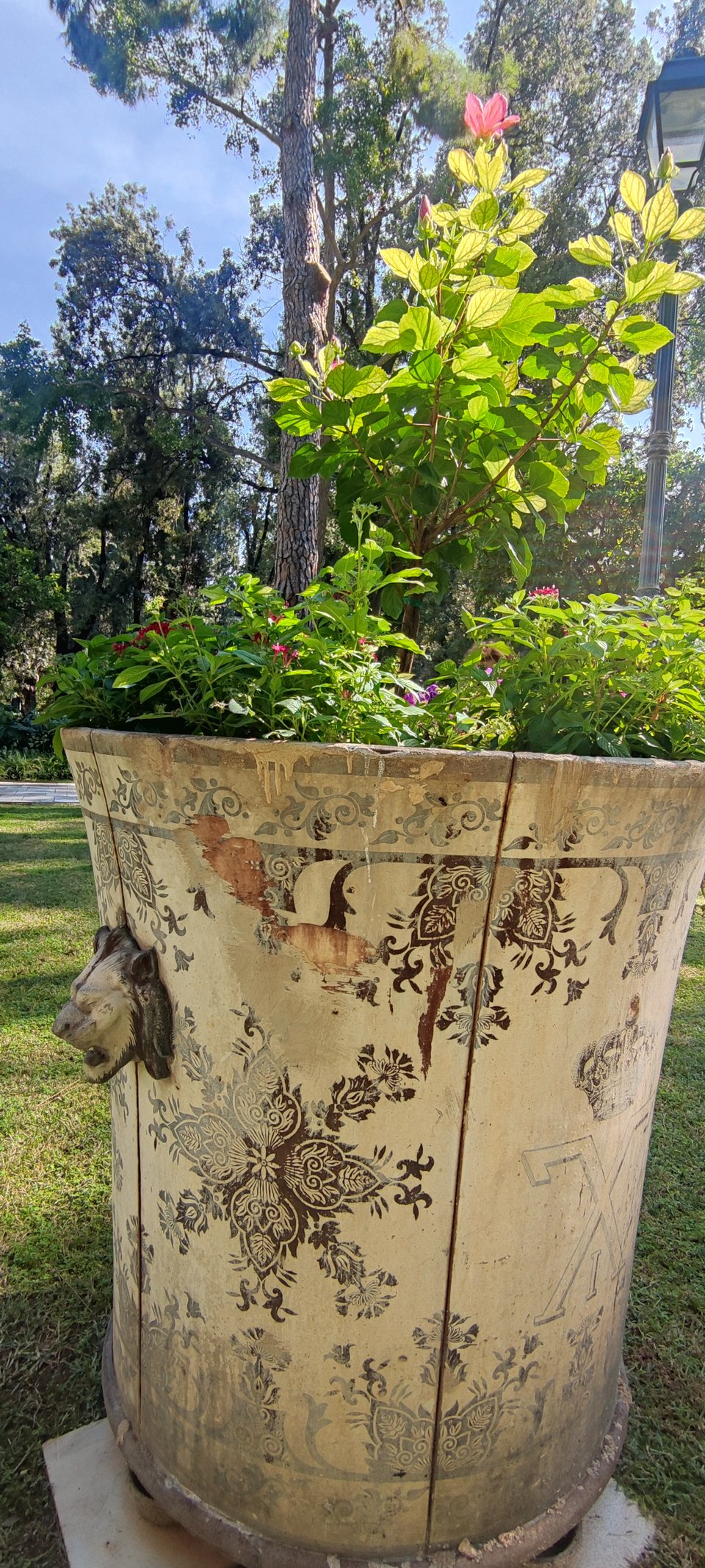 Oι λεπτομέριες πάνω στο κασπό από το Τατόι / iefimerida