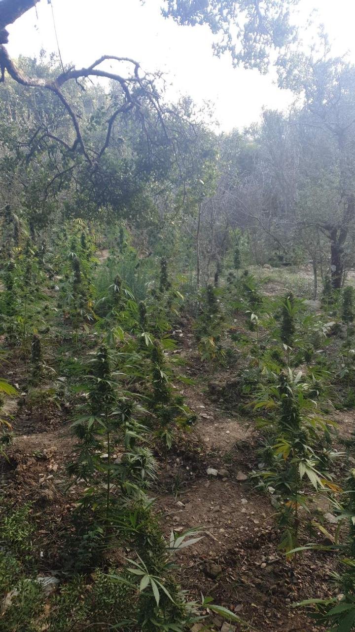 Φωτογραφία από ΕΛ.ΑΣ.