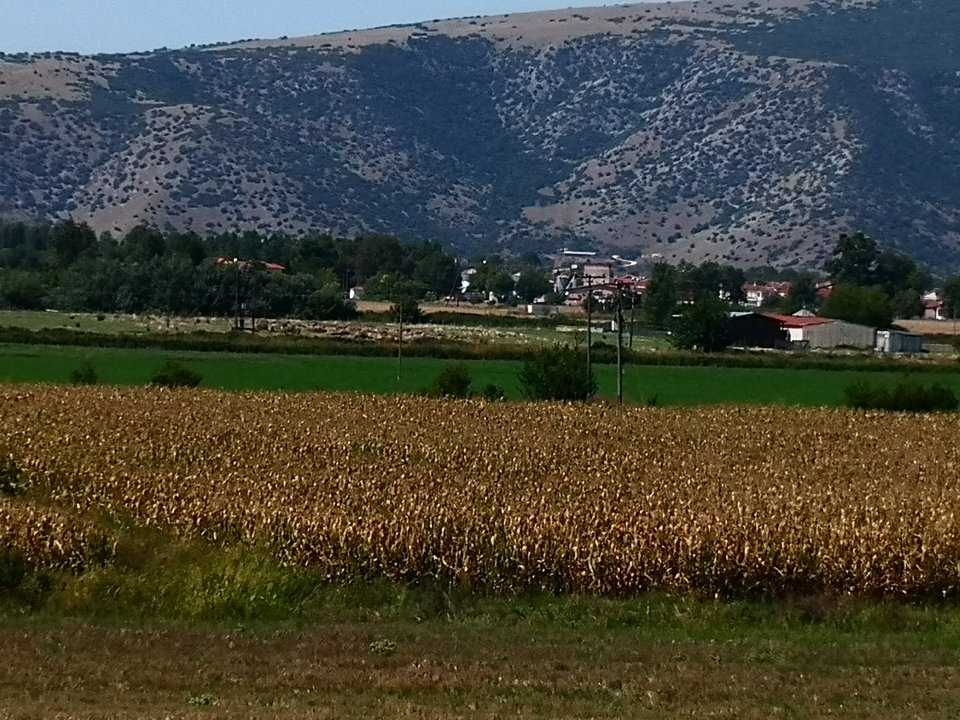 χορτα