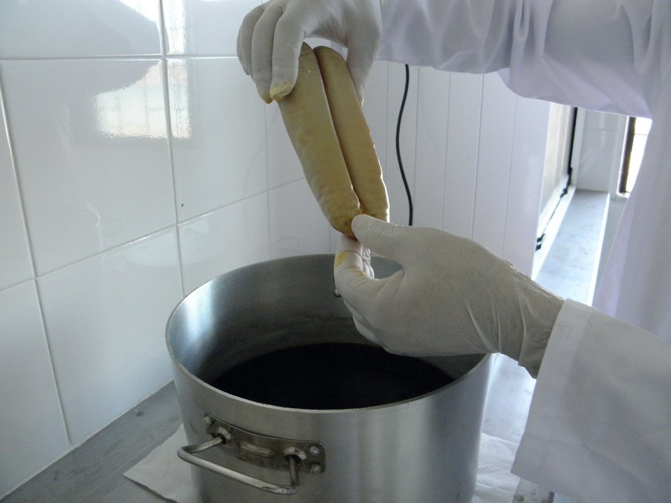 Αφού η μεμβράνη έχει καθαριστεί από το αίμα και έχει μπει στο αλάτι για να «ψηθεί», τη βουτούν σε βρασμένο κερί μέλισσας. 