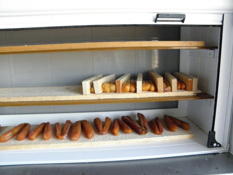 Στη συνέχεια το κερωμένο αυγοτάραχο καλουπώνεται σε δυο σανίδες για να σχηματοποιηθεί καλά το κερί μέλισσας. 