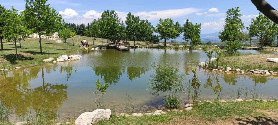 θεματικό πάρκο Λίμνη μουσσών