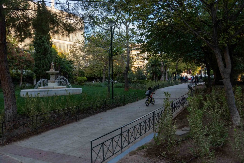 Στο χώρο φυτεύτηκαν επιφάνειες συνολικά 2.760 τετραγωνικών μέτρων, με την πλατεία να αποκτά οκτώ νέα δέντρα αλλά και 3.737 υψηλούς και χαμηλούς θάμνους