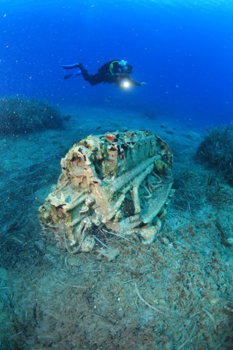 Φωτογραφία: ΑΠΕ-ΜΠΕ