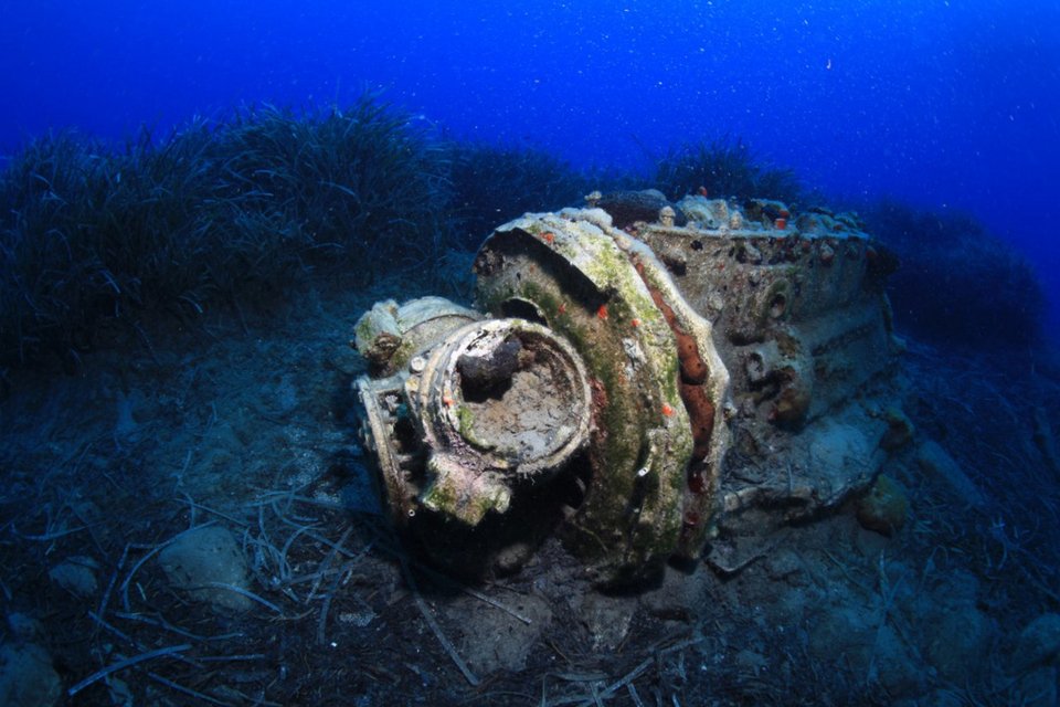 Φωτογραφία: ΑΠΕ-ΜΠΕ