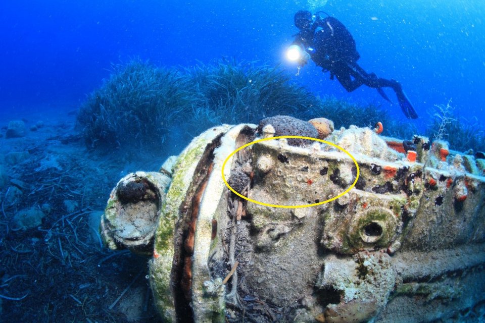 Φωτογραφία: ΑΠΕ-ΜΠΕ