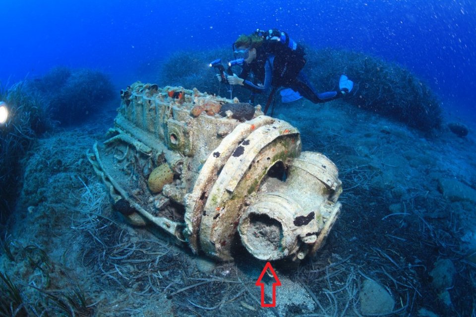 Φωτογραφία: ΑΠΕ-ΜΠΕ