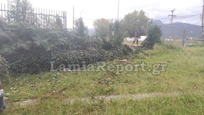 Τα κάγκελα πάνω στα οποία έπεσε το λευκό βαν. Φωτογραφία από LamiaReport.gr