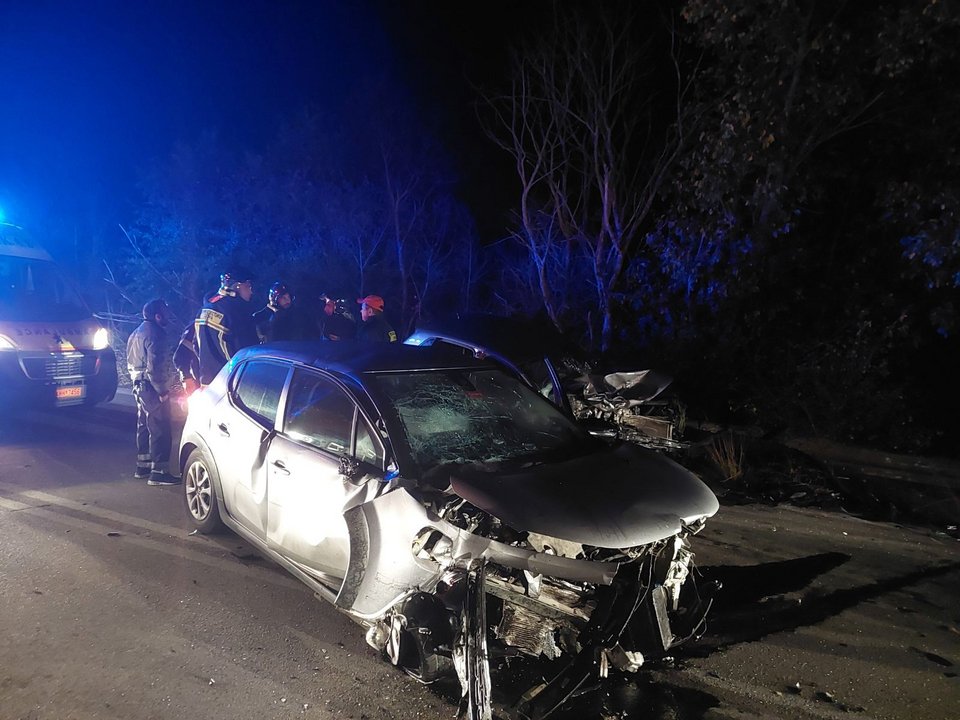 Φωτογραφία από Εθελοντική Ελληνική Ομάδα Διάσωσης Δρυμού/FACEBOOK
