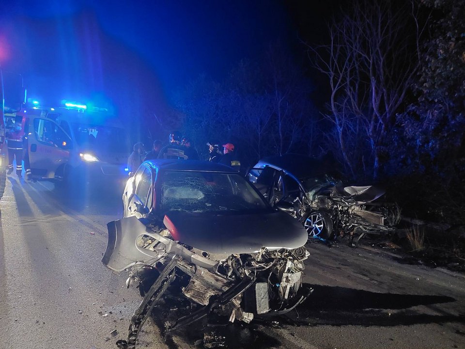 Φωτογραφία από Εθελοντική Ελληνική Ομάδα Διάσωσης Δρυμού/FACEBOOK