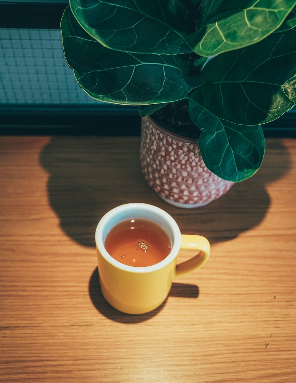 Οοlang tea