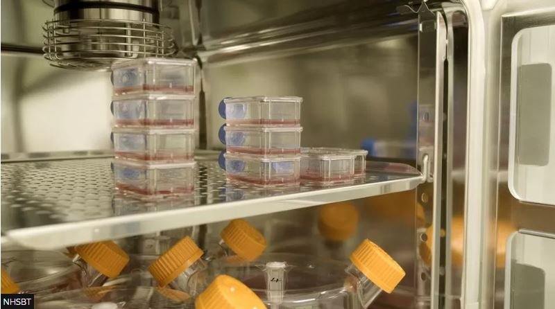 Το εργαστηριακά παραγόμενο αίμα φυλάσσεται σε εγκατάσταση στο Μπρίστολ