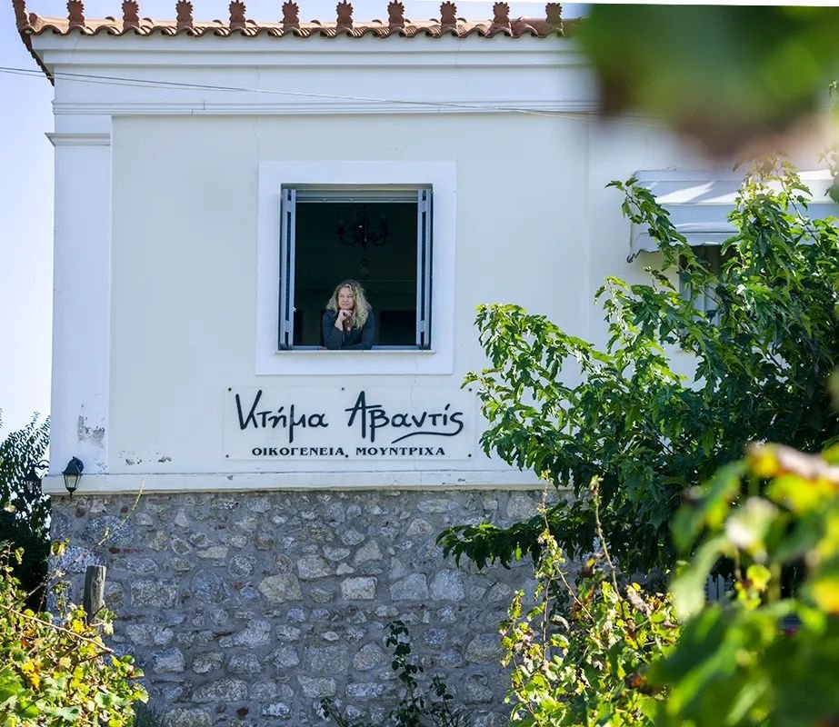 Κτήμα Αβαντίς