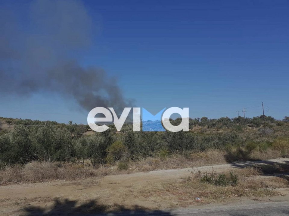 Φωτιά στην Εύβοια / evima.gr