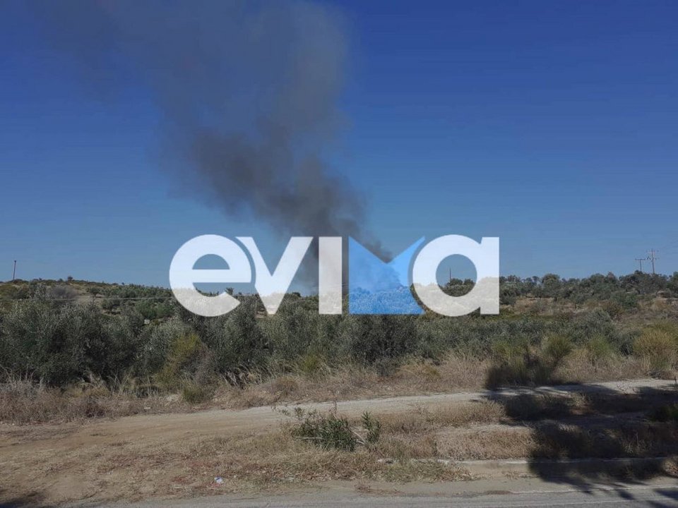 Φωτιά στην Εύβοια / evima.gr