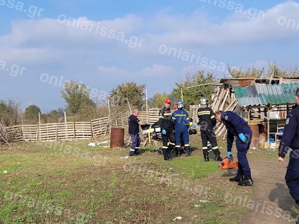 Δέντρο καταπλάκωσε και σκότωσε γυναίκα
